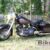 1982 Harley-Davidson FLT 1340 Tour Glide