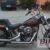 1989 Harley-Davidson FXSTC 1340 Softail Custom (reduced effect)