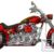 2006 Titan Sidewinder Softail