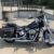 2008 Harley-Davidson FLSTC Softail