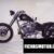 2009 Precision Cycle Works Bobber 300