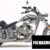 2009 Rhino Hunter Softail FLM005