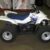 2009 Suzuki QuadSport Z50