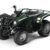 2009 Yamaha Grizzly 125 Automatic