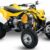 2010 Can-Am DS 450 EFI