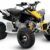 2010 Can-Am DS 90 X
