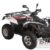 2010 Linhai ATV Dragon Fly 400