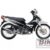 2011 Modenas CT 110
