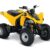 2014 Can-Am DS 250