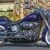 2014 Harley-Davidson Softail Deluxe