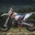 2015 KTM 250 EXC Six Days