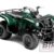 2015 Yamaha Grizzly 125 Automatic