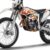 2017 KTM Freeride 250 R