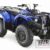 2017 Yamaha Grizzly 450 EPS