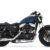 2018 Harley-Davidson 115th Anniversary Forty-Eight