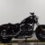 2019 Harley-Davidson Sportster Forty-Eight