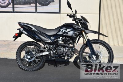 California Scooter TT250