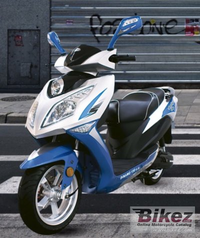 Dinamo Adventure Elite