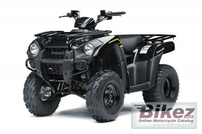 Kawasaki Brute Force 300