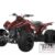 2021 Kymco Mongoose 270 Euro