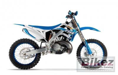 TM Racing MX 300 ES 2T